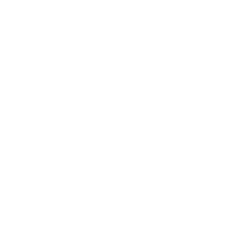 Báo Đen Logistic